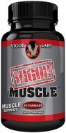 COMPRAR VIGOR MUSCLE MEJOR PRECIO